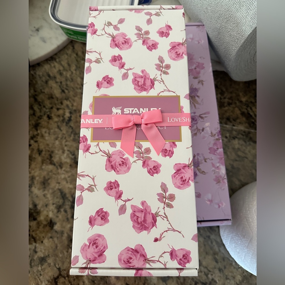 Stanley x Loveshack Fancy | Ribbon Rosa Slim Bottle 20 oz 🎀